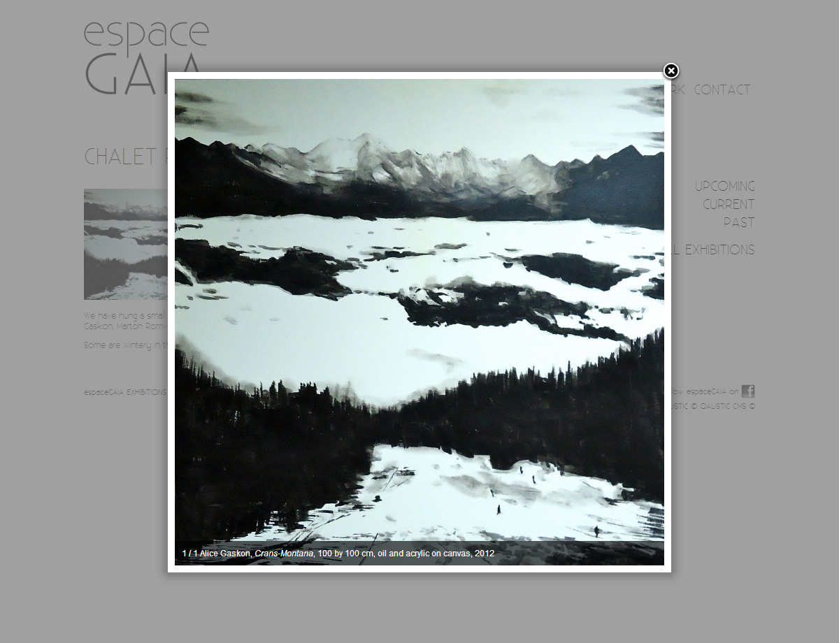 Clean design and software development for espace GAIA Geneva.
QALISTIC CMS integration.  additional image 3
